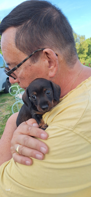 [Image: 20250530-202921.jpg]