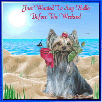 Weekend_Dog_Hello
