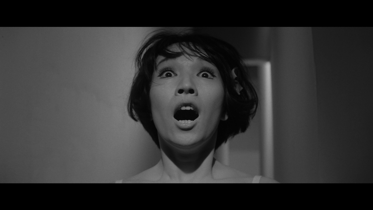 vlcsnap-2024-01-23-07h53m12s963