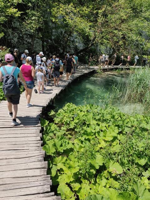 10 días por Eslovenia, Croacia y Bosnia con 3 niños. - Blogs de Europa Oriental - Miércoles: Parque nacional de Plitvice (4)