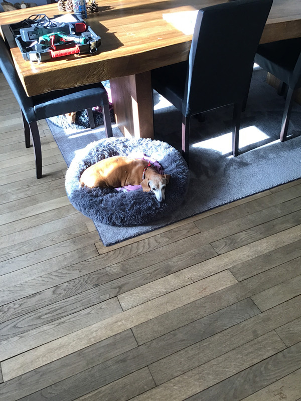 [Image: 36-A3-C424-059-A-470-B-9458-408782-F4230-F.jpg]