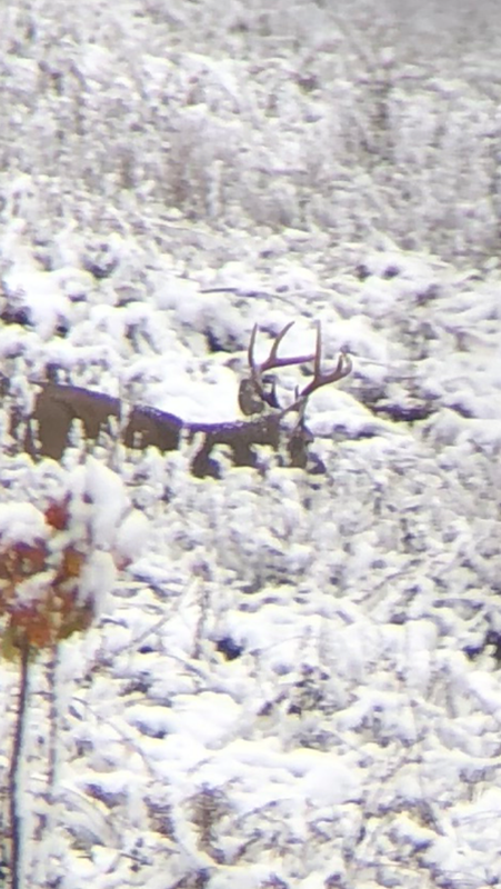 34B5EC04-1E17-4649-AF5D-47405C7C15E9