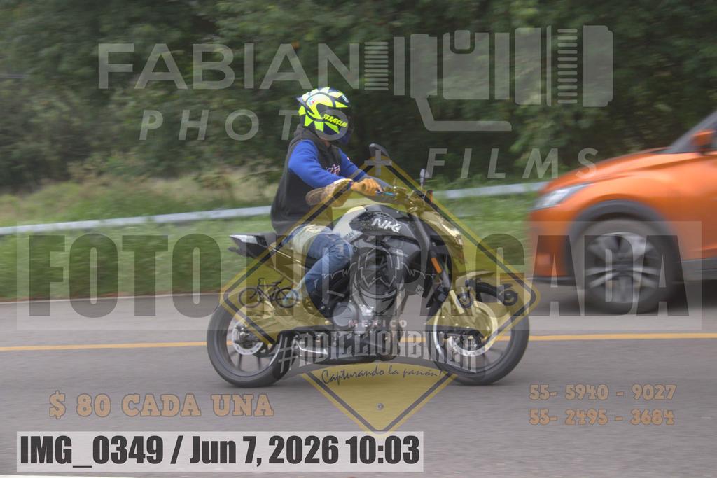 IMG 0349