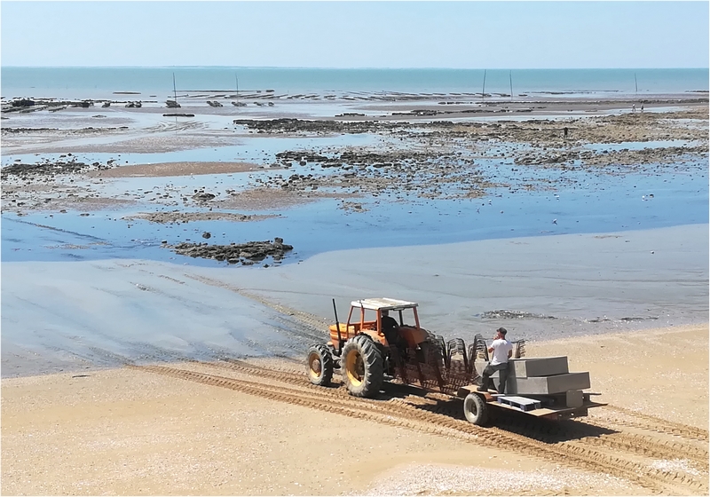 Mon Copain l'Ostreiculteur  IMG-20190708-141826