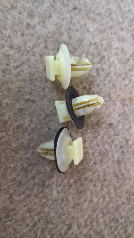 WP_20180408_17_04_32_Rich