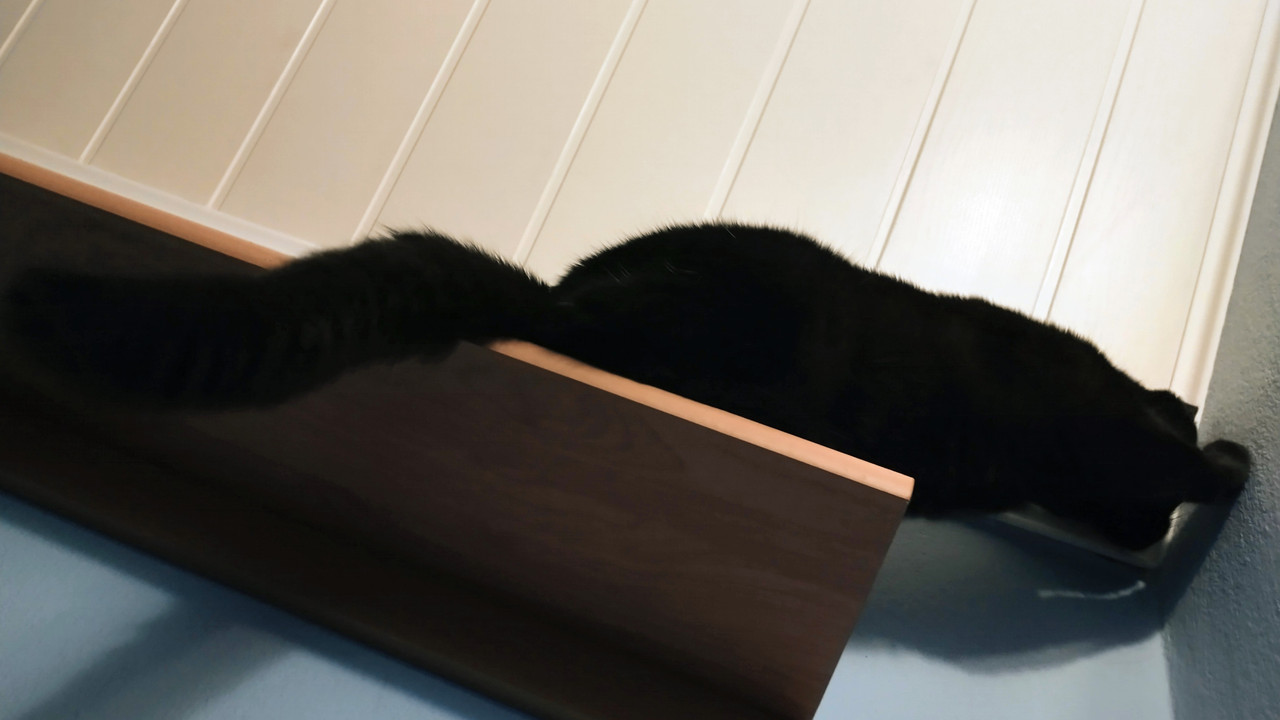 IMG 20251113 205245920 HDR 2