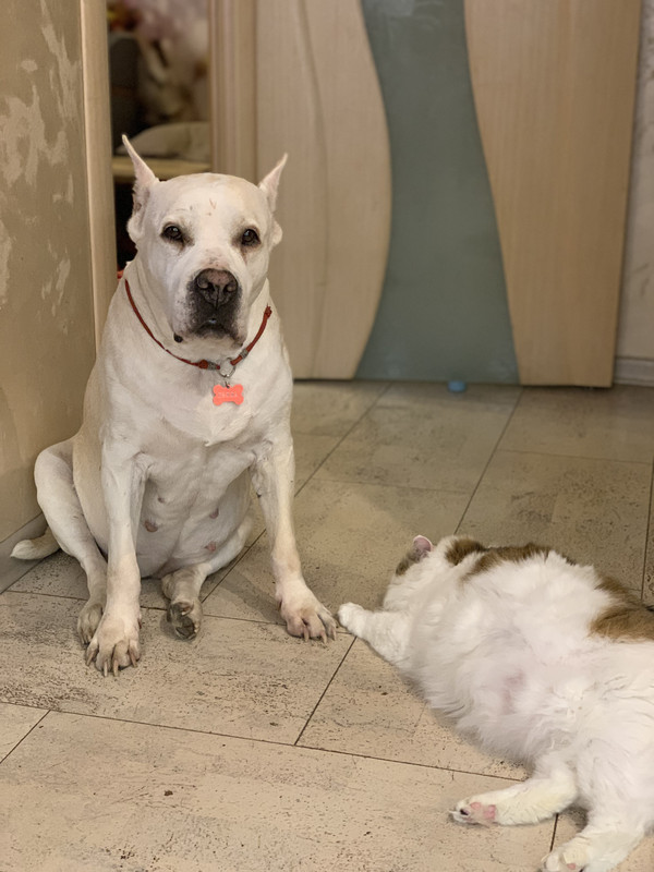 A7067800-0C71-4899-BC24-3348F1E52F1D