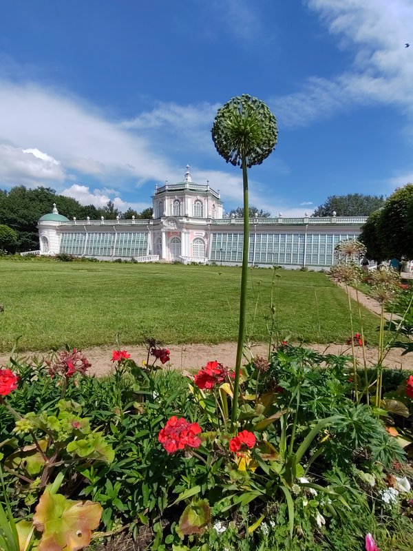 https://i.postimg.cc/hvgHYBQ9/034-IMG-20240615-111255.jpg