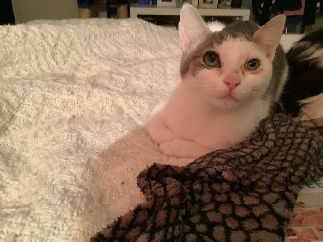 124F4ADC-0538-4052-8237-E3C0AED92B1A