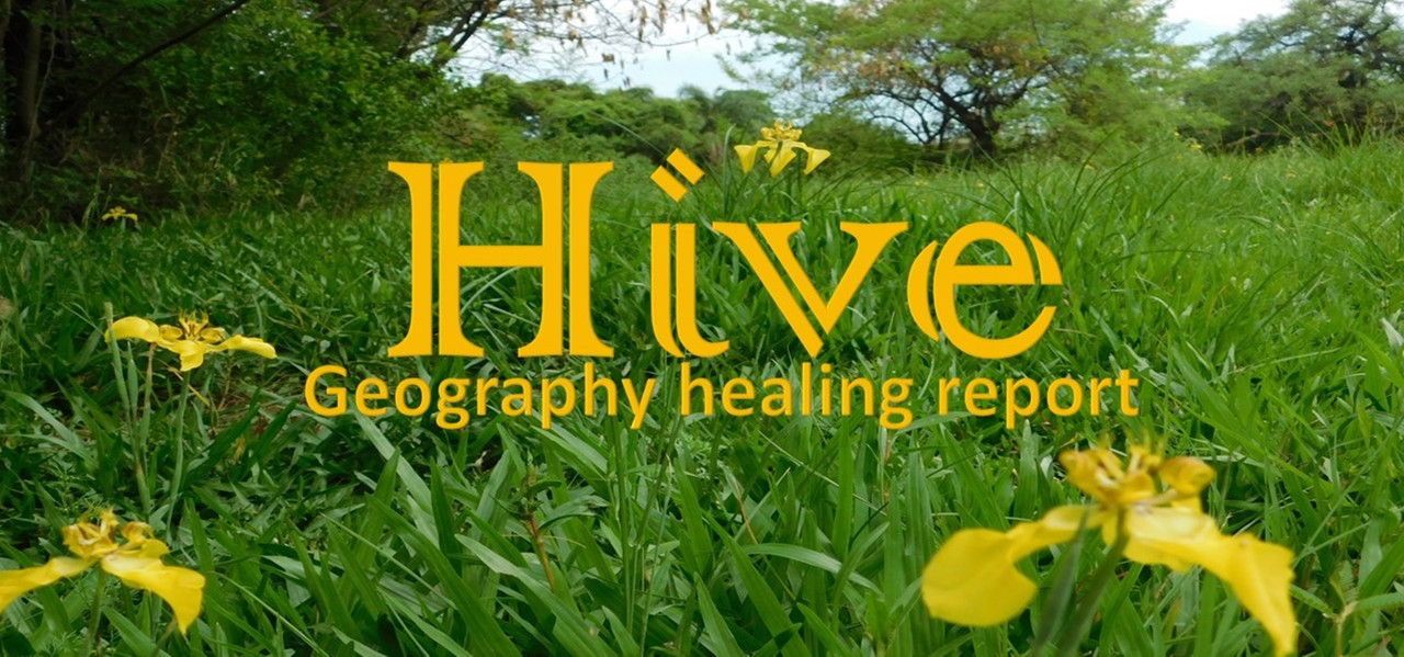 hive-geografia-reporte.jpg