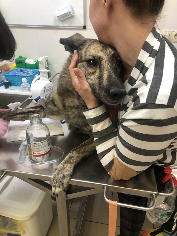 0F352171-CEB4-4400-B595-EEDC515731A0