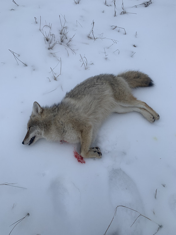 19422CFF-9E2D-43CC-B6EE-002C0ADF0395