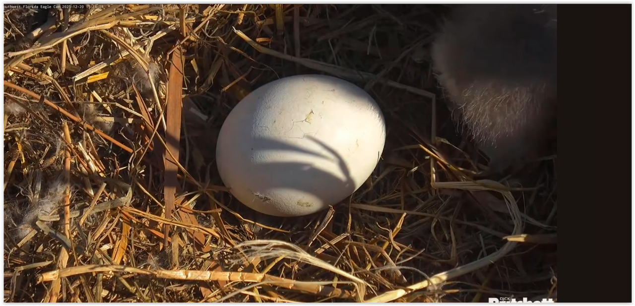 Screen Shot 12 20 25 at 11 04 PM