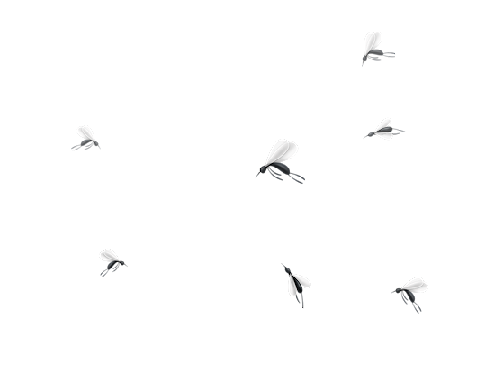 Aylar(E) (12)