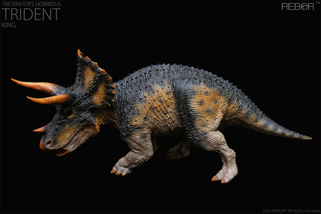 2022 Prehistoric Figure of the Year - Eofauna Konobelodon Rebor-Triceratops-Trident-lateral-web-1