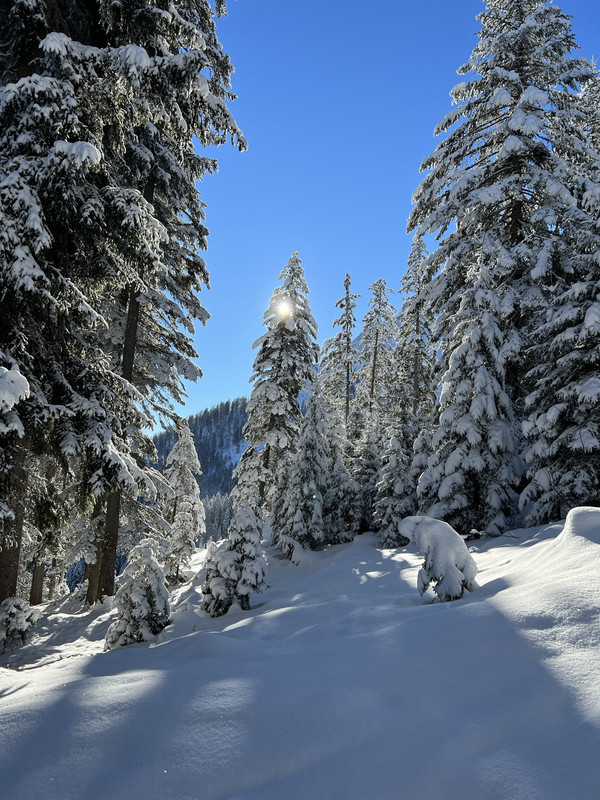 B0608CA6-123E-430F-90AE-0F0E8F341FF8