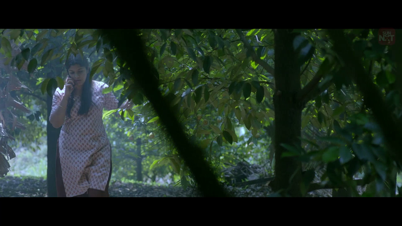 vlcsnap 2026 02 11 15h45m39s169