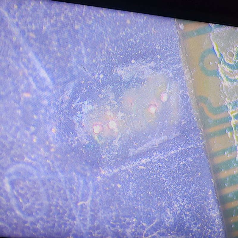 photo_2025-06-29_11-47-59