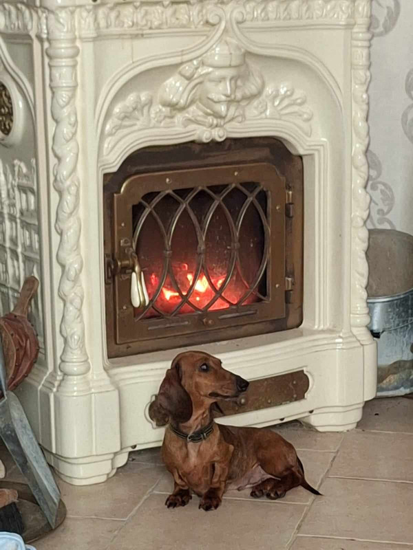 [Image: received-655044836841402.jpg]