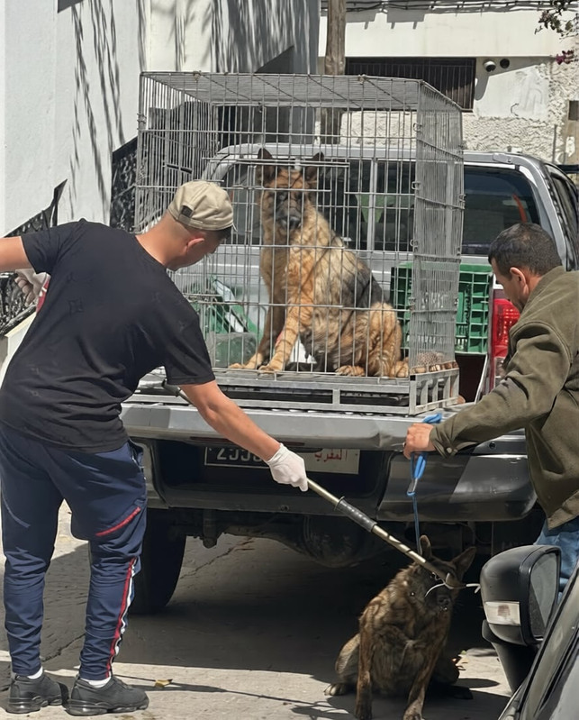 6cf24197-2a78-4983-bfbe-4d61494d7a60