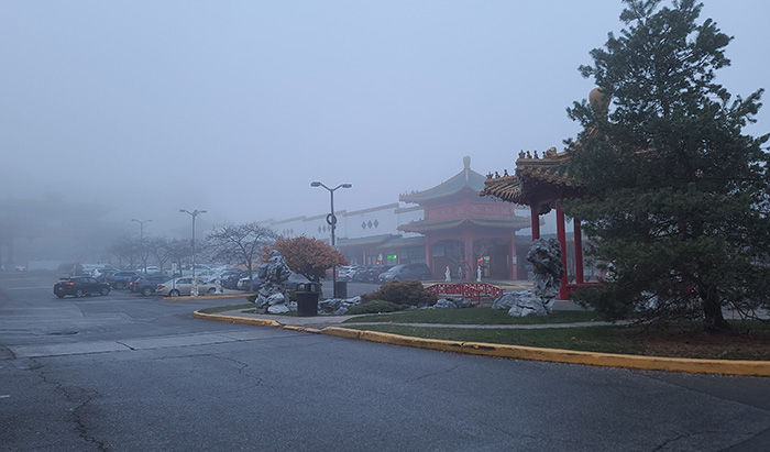 [Image: 20221124-161654.jpg]