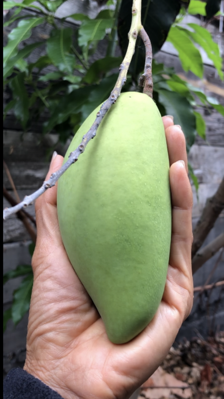 CA8A1142-DE91-4D33-B411-BF764F2C3991