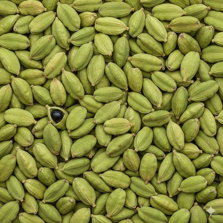 Cardamom