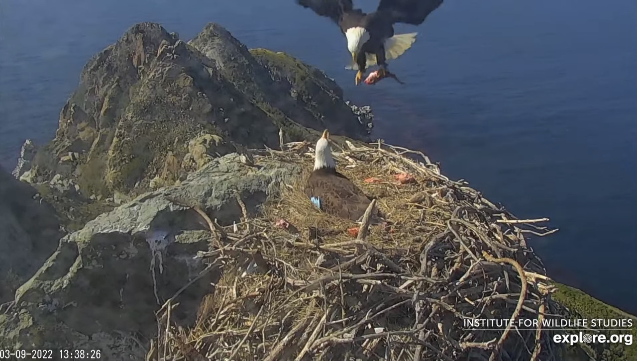 9EC58ED7-E287-4E8F-B2F9-CEA29C181854