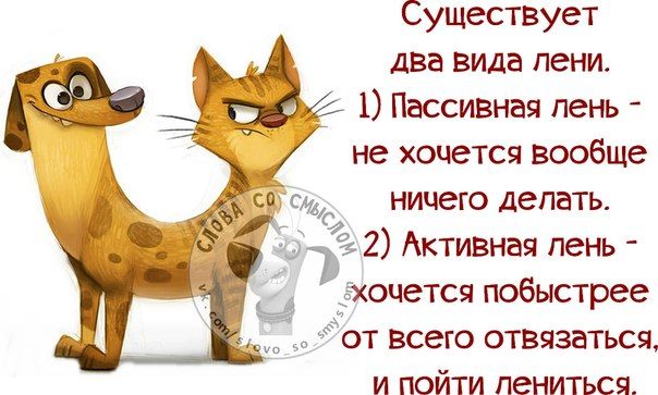 https://i.postimg.cc/hvhTN7VS/51e3653d9f9fa7f5215c2118093c7527-funny-phrases-humor.jpg