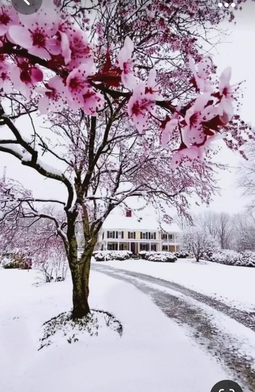 Screenshot_20231102_004156_Pinterest