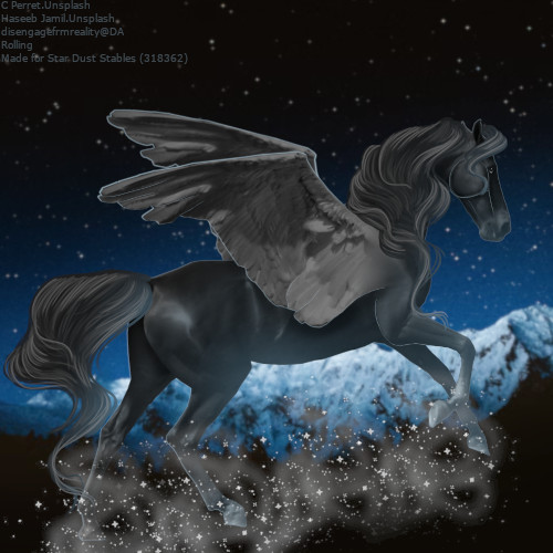 Star-Dust.jpg