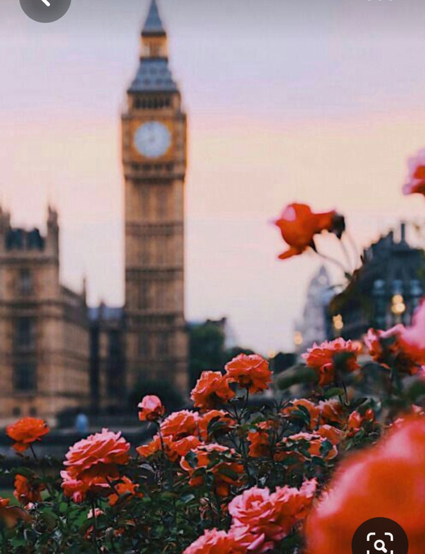 Screenshot_20230703_231035_Pinterest