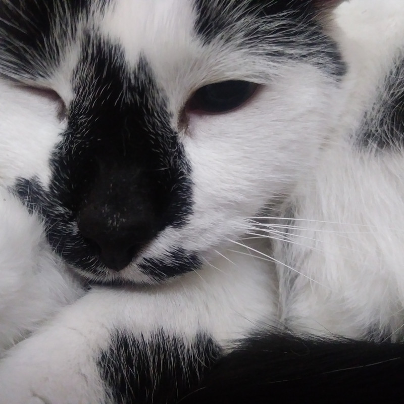 IMG_20210516_015205_532