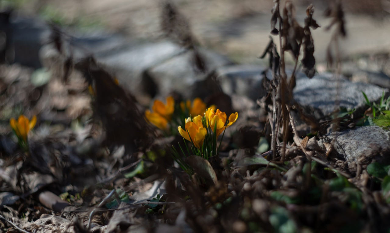 IMG-9f632588724a9230cb4f1a2e17ec357b-V