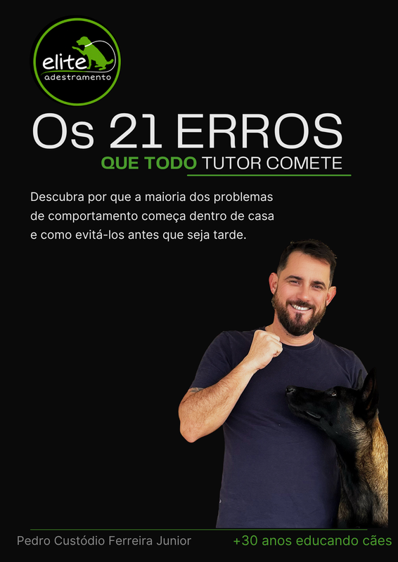 Método Os 21 Erros Que Todo Tutor Comete