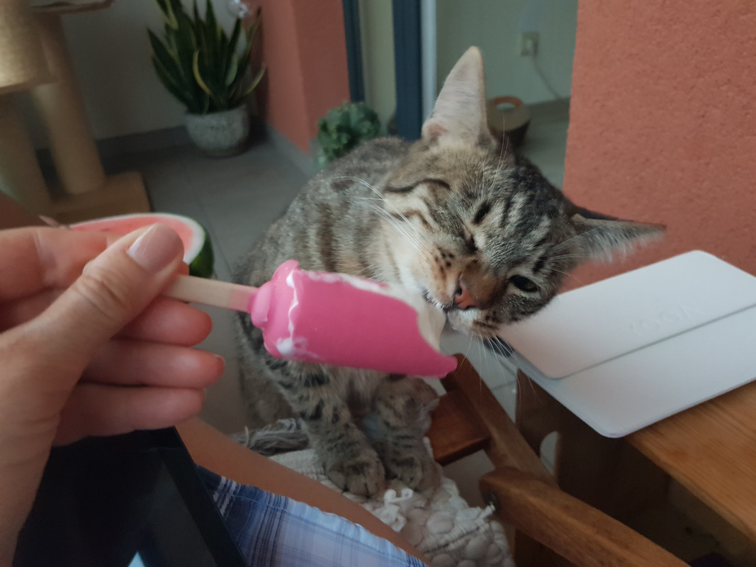 20190612-221426.jpg