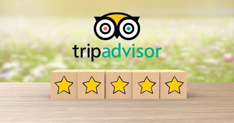 TripAdvisor