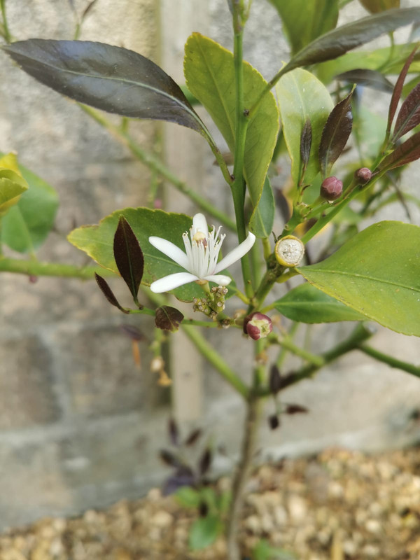 WhatsApp Image 2021-05-23 at 10.35.56 (1)