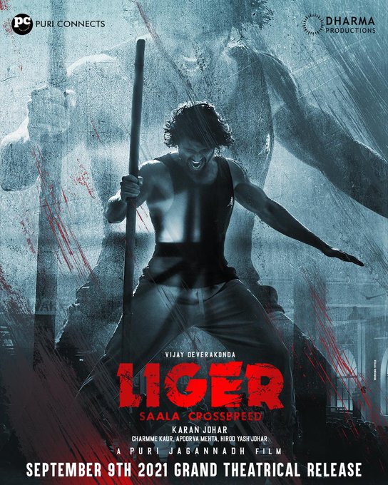 Download Liger 2022 WEB-DL Hindi ORG 1080p | 720p | 480p [450MB]