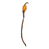 https://i.postimg.cc/hvk5NSQC/IMG-8301.webp