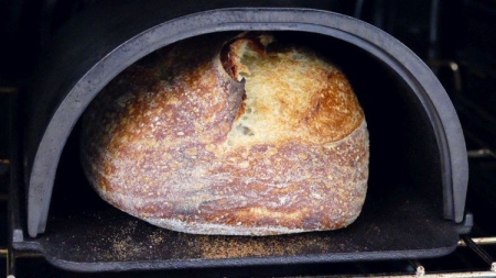 Sourdough Bread Baking Exploration