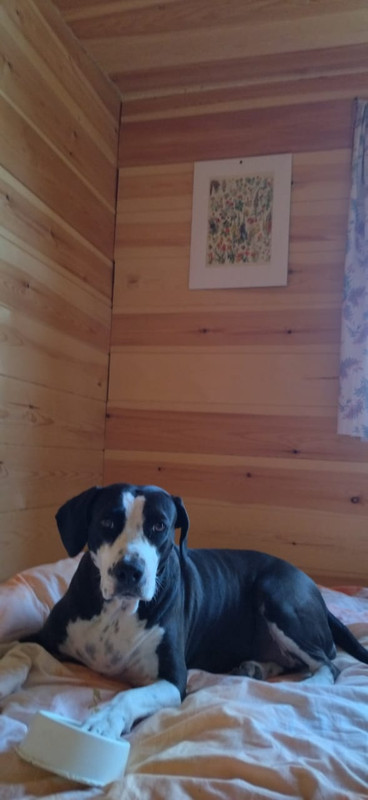 9A0CA006-5F3F-46F4-B7EB-EF389681DD8F