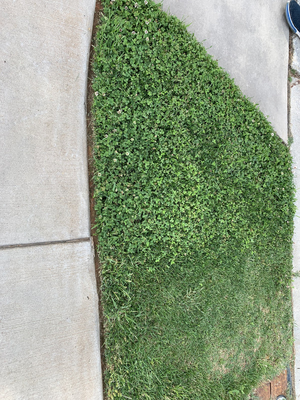 607CF815-F5F5-42C8-9199-D55ED6F70A5B