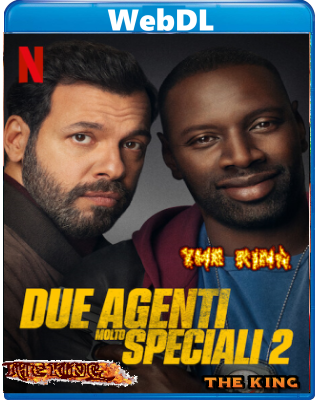 Due agenti molto speciali 2 (2022) WEBDL 1080p x264 E-AC3+AC3 ITA FRA