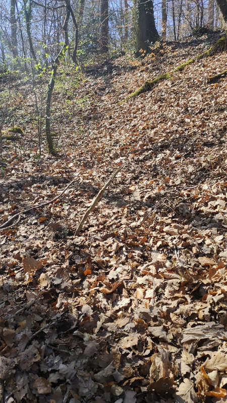 WhatsApp Image 2021-04-02 at 14.18.39 (2)