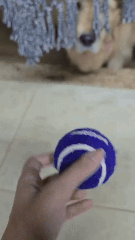 ezgif-3-938a2a8169.gif