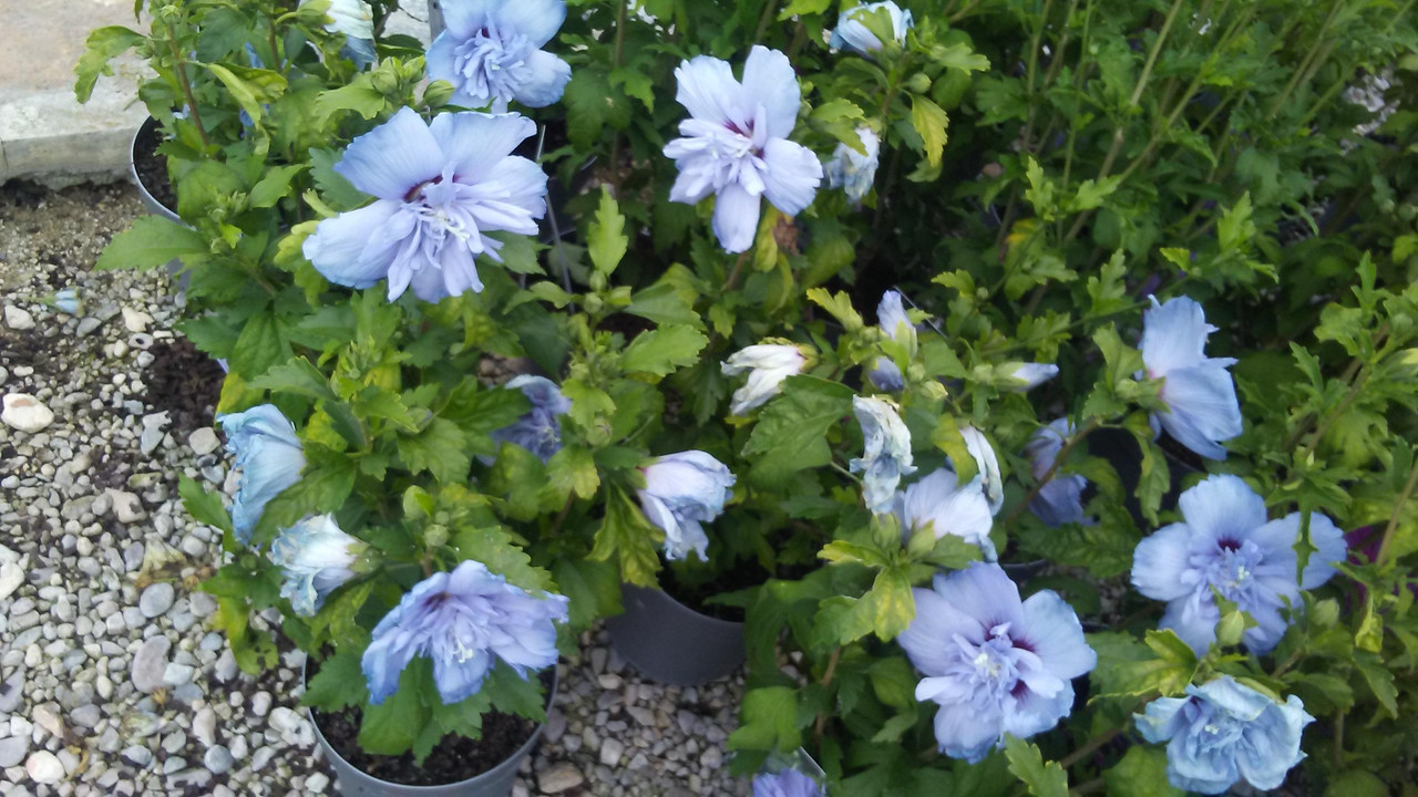 20190625_141402