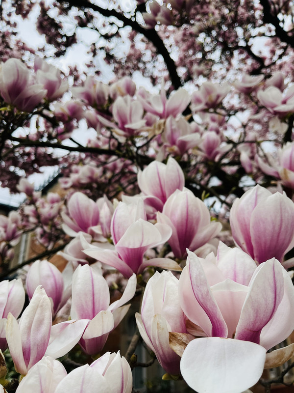 BD86A46A-CC37-42D1-8FED-B6A1C2012A83