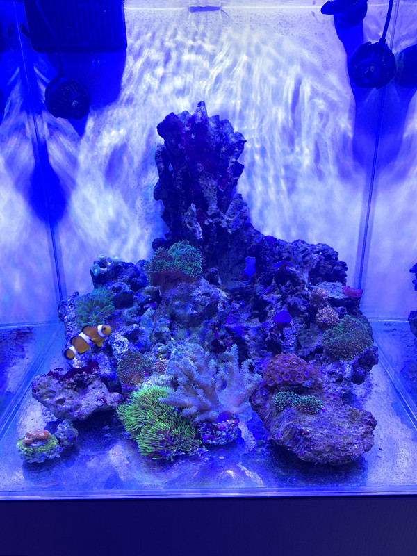 ECC5A243-EAF2-4269-A0E8-827FCC196AC4