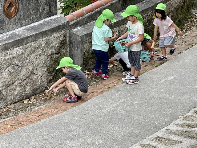 [Linked Image from i.postimg.cc]